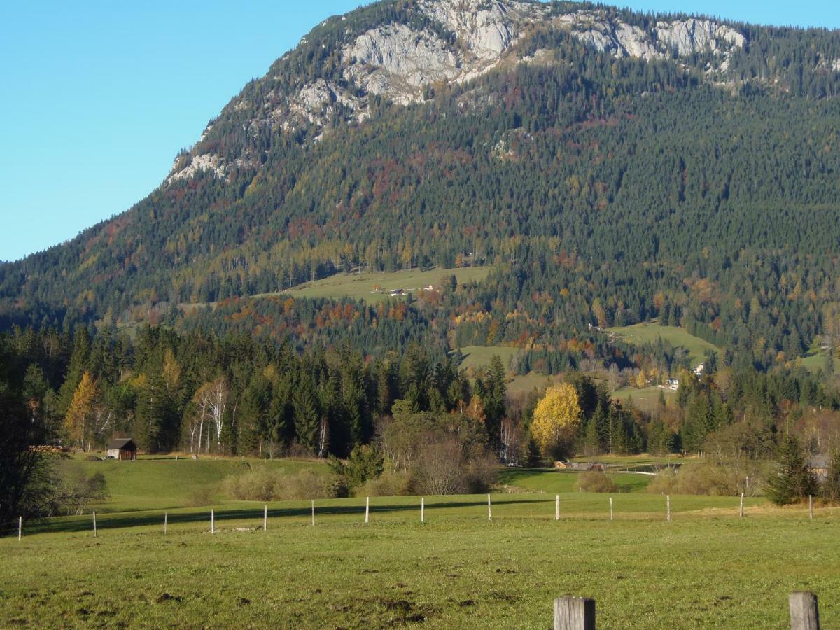 Ferienwohnung Andrea Bad Mitterndorf Exterior foto
