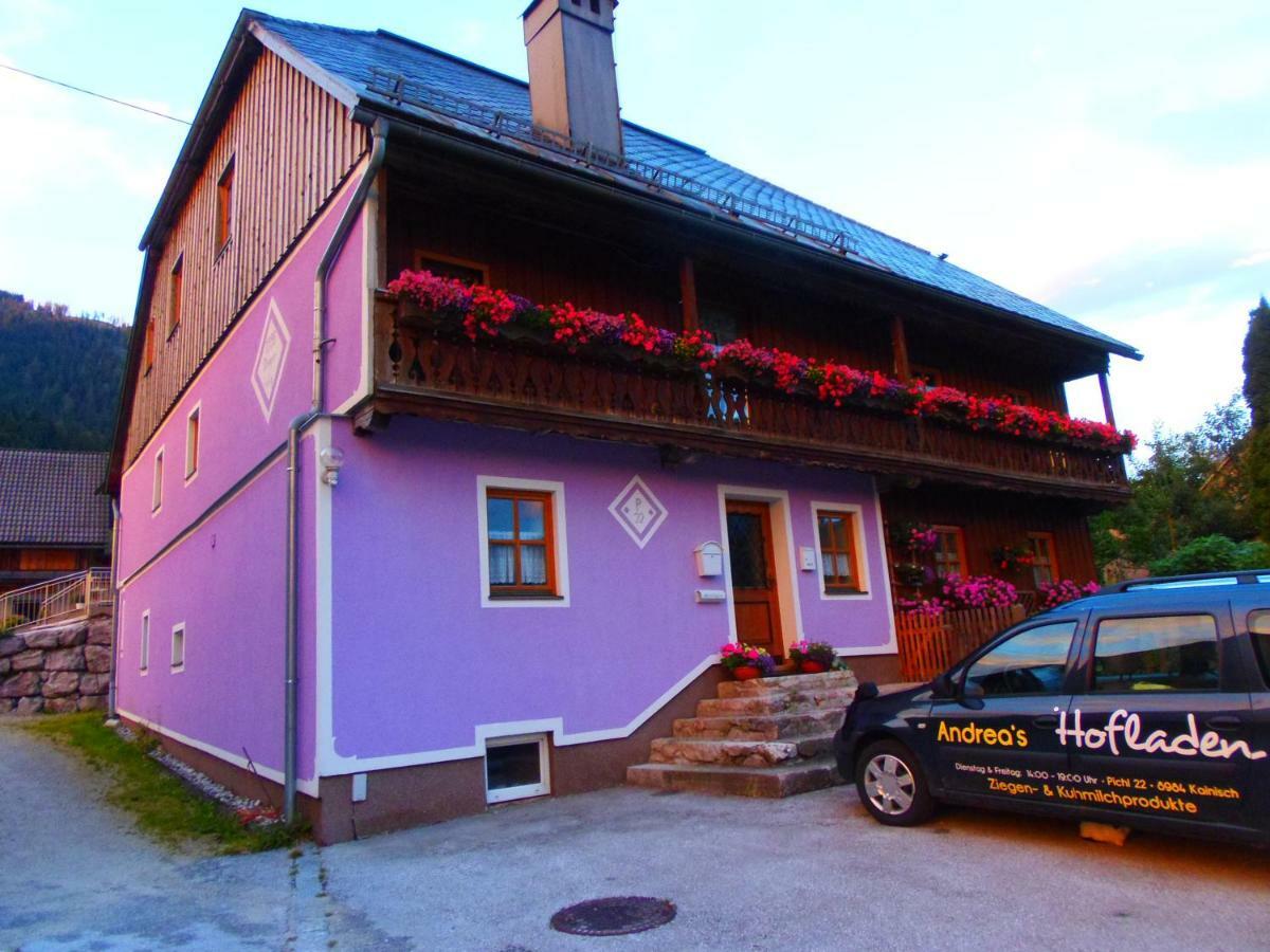Ferienwohnung Andrea Bad Mitterndorf Exterior foto