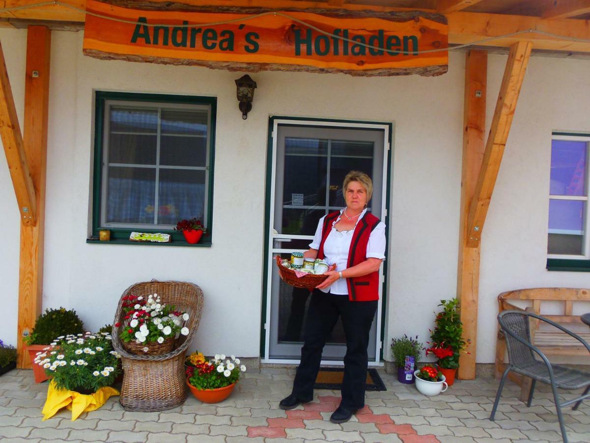 Ferienwohnung Andrea Bad Mitterndorf Exterior foto
